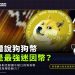 聽說狗狗幣是最強迷因幣？連特斯拉創辦人馬斯克都讚不絕口的狗狗幣到底有哪些魅力？