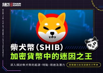 柴犬幣(SHIB):加密貨幣中的迷因之王