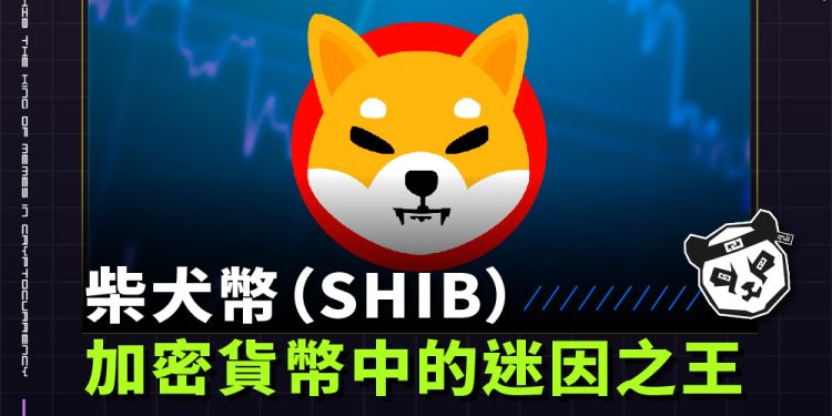 柴犬幣（SHIB）：加密貨幣中的迷因之王